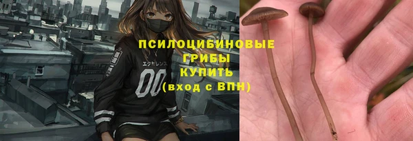 стаф Армянск