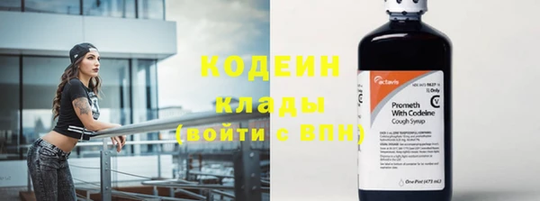 мяу мяу мука Арсеньев