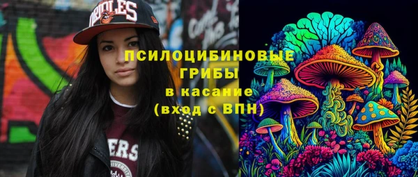 стаф Армянск