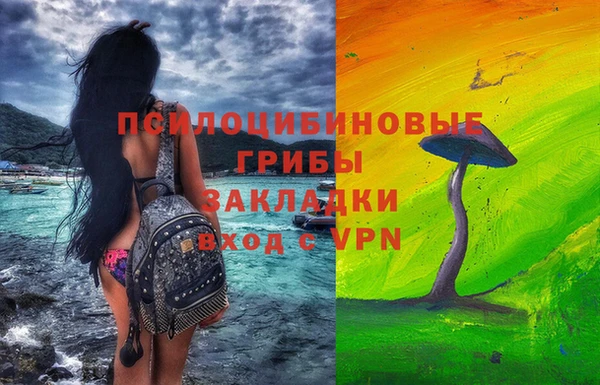 мяу мяу мука Арсеньев