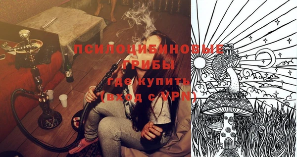 молекула духа Аркадак
