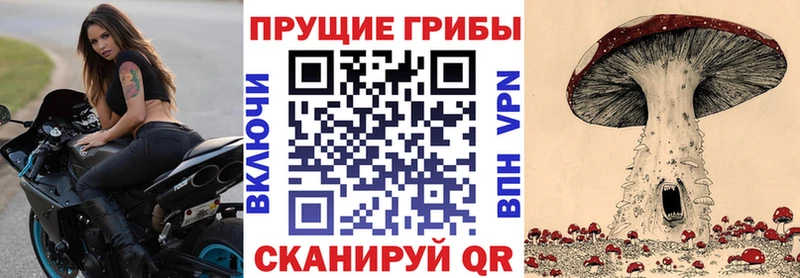 Галлюциногенные грибы Psilocybe  где купить   Мещовск 